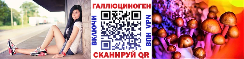 купить наркоту Элиста Галлюциногенные грибы Cubensis